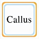 callus模拟器