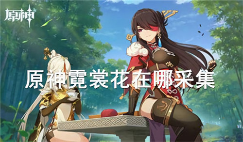 霓裳花在哪里采集路线