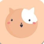 小汪手帐app